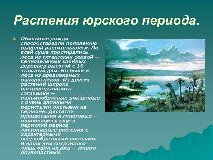 Растения юрского периода. u Обильные дожди способствовали появлению пышной растительности. По всей суше простирались