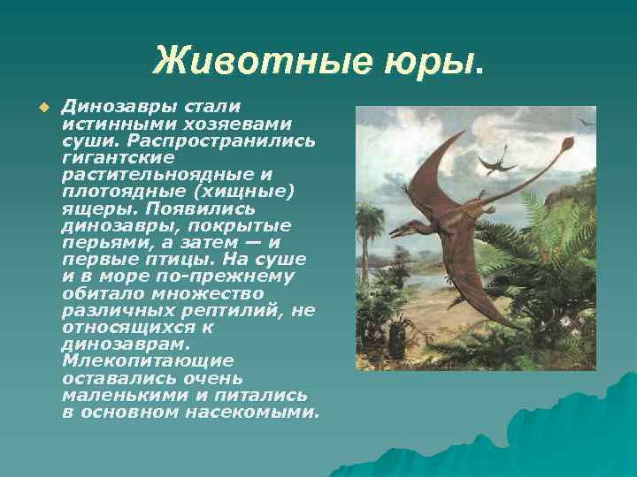 Животные юры. u Динозавры стали истинными хозяевами суши. Распространились гигантские растительноядные и плотоядные (хищные)