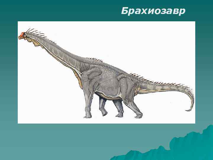 Брахиозавр 