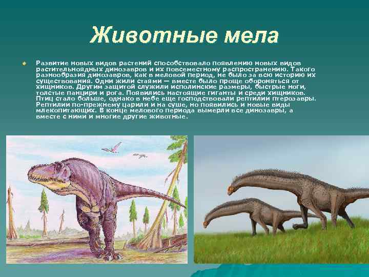 Животные мела u Развитие новых видов растений способствовало появлению новых видов растительноядных динозавров и