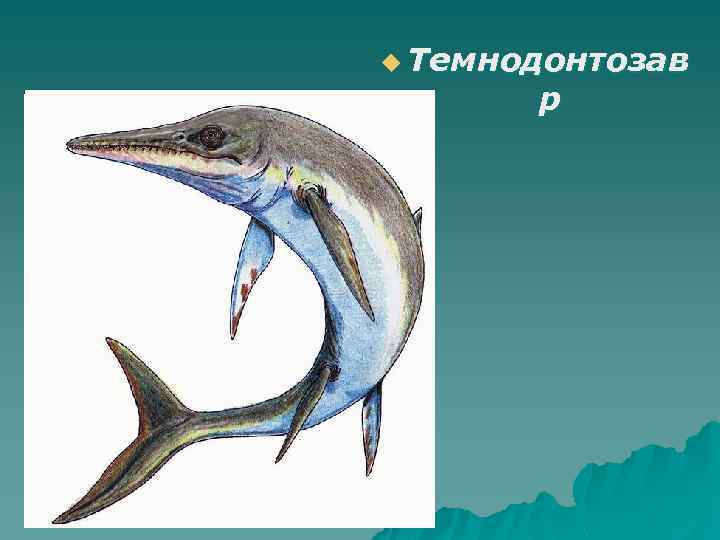 u Темнодонтозав р 