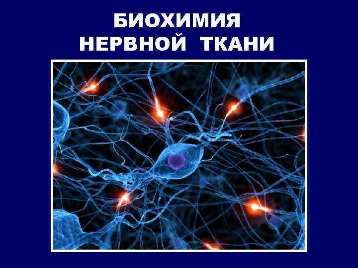 БИОХИМИЯ НЕРВНОЙ ТКАНИ 