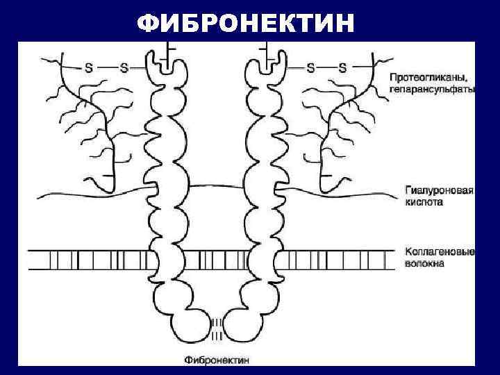 Биохимические механизмы в проведении нервного импульса биохимия схема