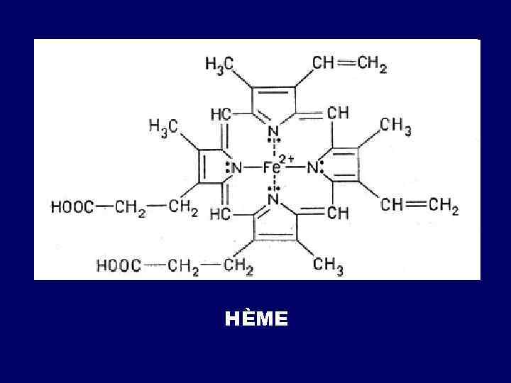  BILIRUBINE CONJUGUÉE (BILIRUBINEDIGLUCURONIDE) 