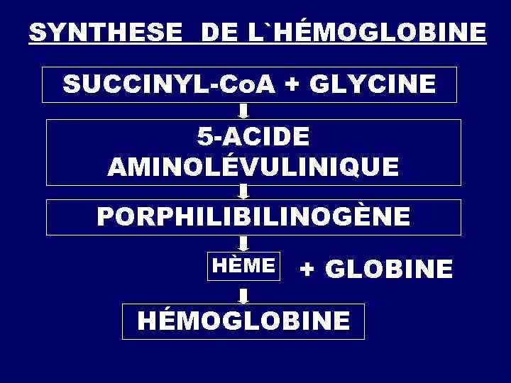  DÉCOMPOSITION DES BASES PYRIMIDIQUES CYTOSINE URACILE H 2 N-COOH ACIDE CARBAMIQUE + -ALANINE