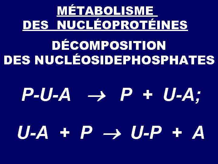  SYNTHÈSE DES NUCLÉOTIDES PYRIMIDIQUES СО 2 + Gln + 2 ATP + 2