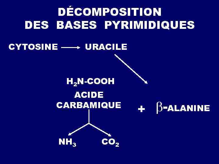  ACIDE INOSINIQUE 