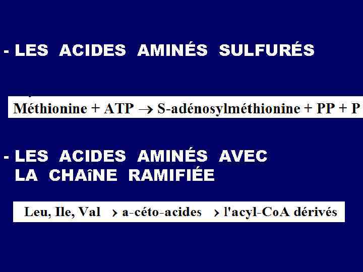 - LES ACIDES AMINÉS SULFURÉS - LES ACIDES AMINÉS AVEC LA CHAîNE RAMIFIÉE 