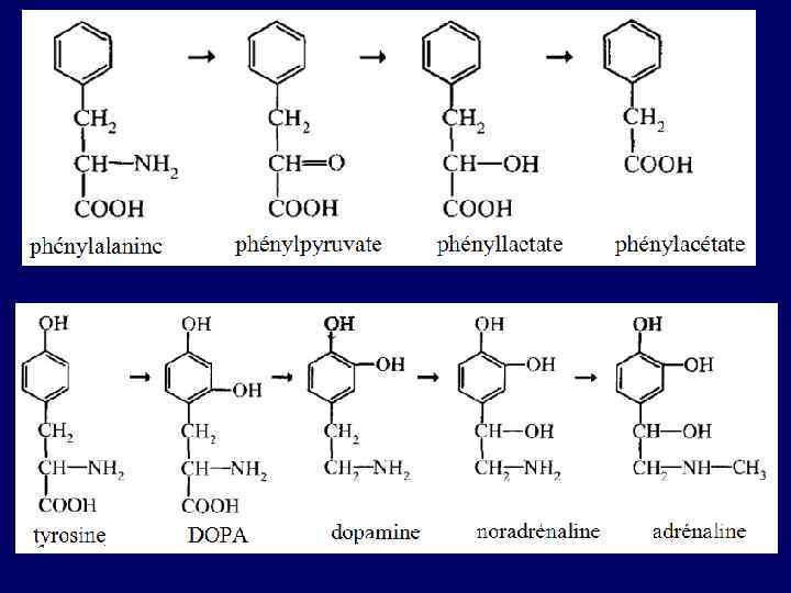 TRANSFERRINE 