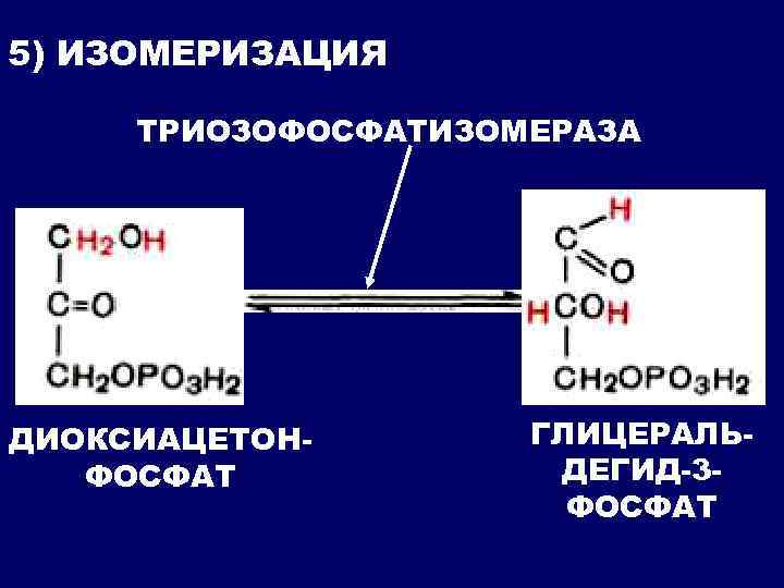 5) ИЗОМЕРИЗАЦИЯ ТРИОЗОФОСФАТИЗОМЕРАЗА ДИОКСИАЦЕТОНФОСФАТ ГЛИЦЕРАЛЬДЕГИД-3 ФОСФАТ 
