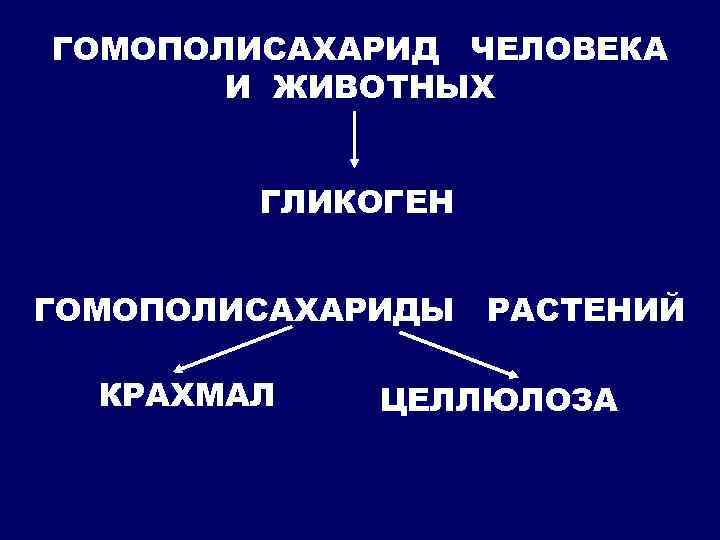ГОМОПОЛИСАХАРИД ЧЕЛОВЕКА И ЖИВОТНЫХ ГЛИКОГЕН ГОМОПОЛИСАХАРИДЫ РАСТЕНИЙ КРАХМАЛ ЦЕЛЛЮЛОЗА 