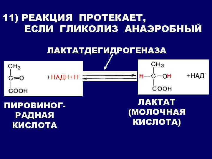 11) РЕАКЦИЯ ПРОТЕКАЕТ, ЕСЛИ ГЛИКОЛИЗ АНАЭРОБНЫЙ ЛАКТАТДЕГИДРОГЕНАЗА ПИРОВИНОГРАДНАЯ КИСЛОТА ЛАКТАТ (МОЛОЧНАЯ КИСЛОТА) 