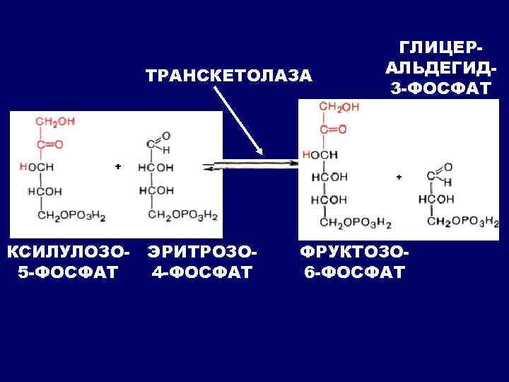 ТРАНСКЕТОЛАЗА КСИЛУЛОЗО 5 -ФОСФАТ ЭРИТРОЗО 4 -ФОСФАТ ГЛИЦЕРАЛЬДЕГИД 3 -ФОСФАТ ФРУКТОЗО 6 -ФОСФАТ 