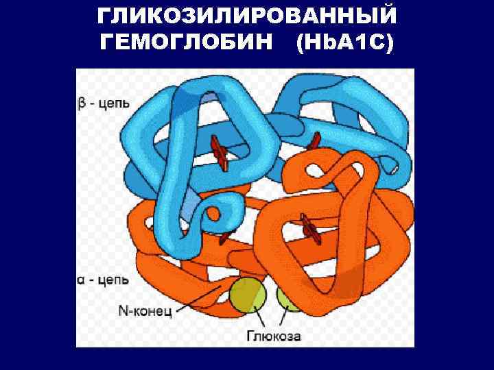 ГЛИКОЗИЛИРОВАННЫЙ ГЕМОГЛОБИН (Hb. A 1 C) 