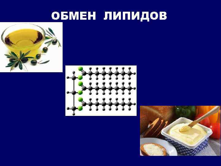 ОБМЕН ЛИПИДОВ 