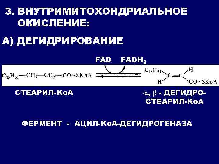 Дегидрирование кислоты. Ацил КОА дегидрогеназа. ФАД дегидрогеназы. Внутримитохондриальное окисление. Дегидрирование ацил-КОА.