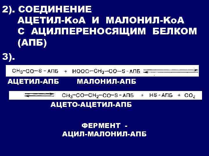 2). СОЕДИНЕНИЕ АЦЕТИЛ-Ko. A И МАЛОНИЛ-Ko. A С АЦИЛПЕРЕНОСЯЩИМ БЕЛКОМ (АПБ) 3). АЦЕТИЛ-АПБ МАЛОНИЛ-АПБ