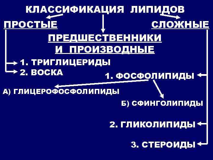 КЛАССИФИКАЦИЯ ЛИПИДОВ ПРОСТЫЕ СЛОЖНЫЕ ПРЕДШЕСТВЕННИКИ И ПРОИЗВОДНЫЕ 1. ТРИГЛИЦЕРИДЫ 2. ВОСКА 1. ФОСФОЛИПИДЫ А)
