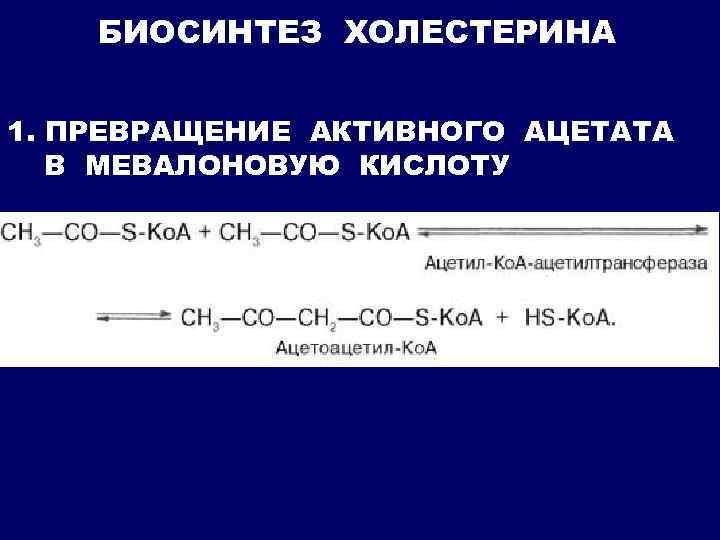 БИОСИНТЕЗ ХОЛЕСТЕРИНА 1. ПРЕВРАЩЕНИЕ АКТИВНОГО АЦЕТАТА В МЕВАЛОНОВУЮ КИСЛОТУ 