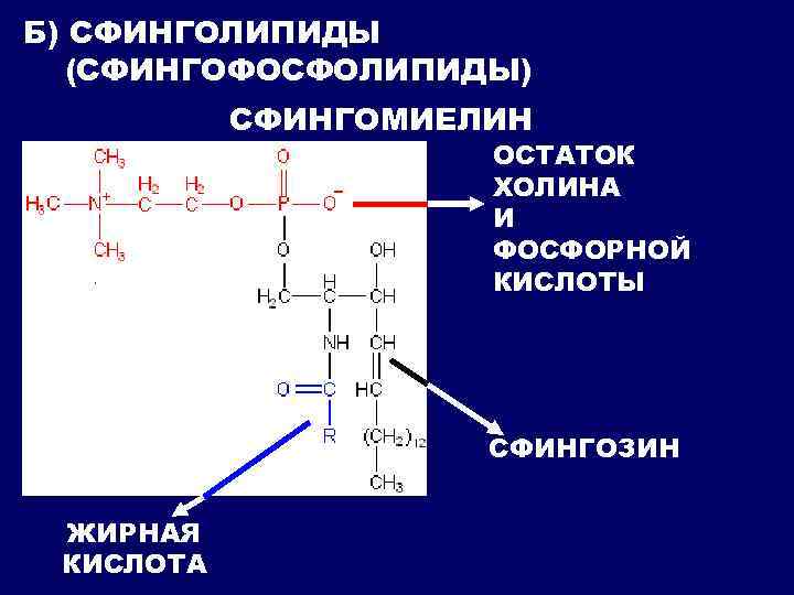 Классификация липидов схема