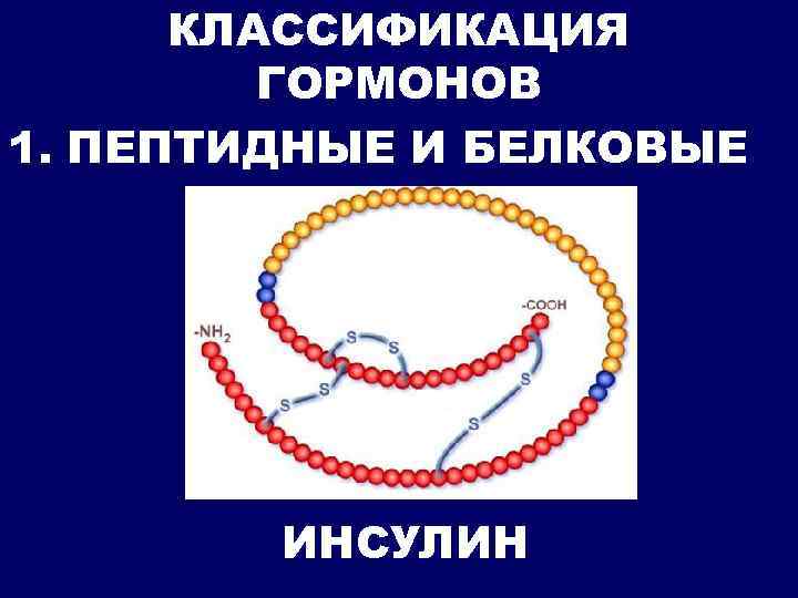 КЛАССИФИКАЦИЯ ГОРМОНОВ 1. ПЕПТИДНЫЕ И БЕЛКОВЫЕ ИНСУЛИН 