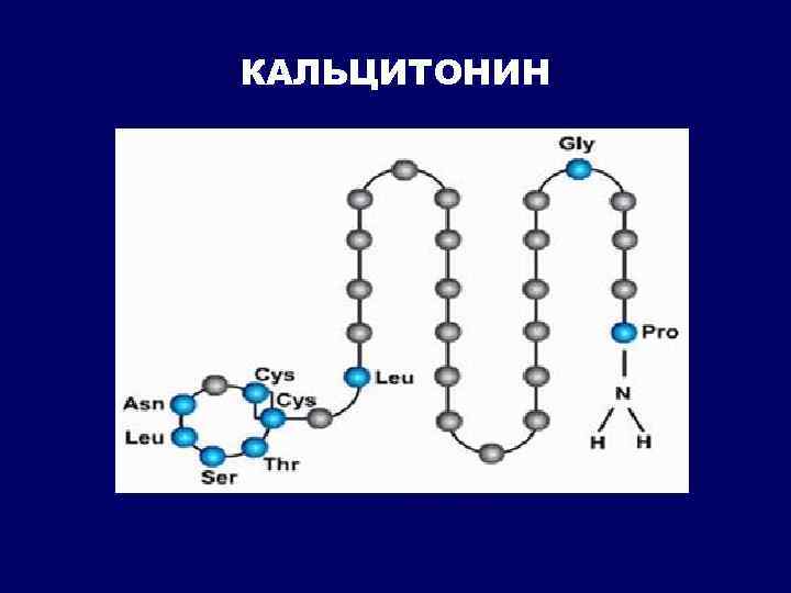 КАЛЬЦИТОНИН 