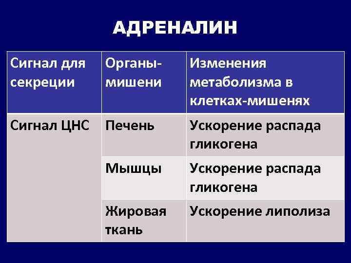 АДРЕНАЛИН Сигнал для секреции Органымишени Изменения метаболизма в клетках-мишенях Сигнал ЦНС Печень Ускорение распада