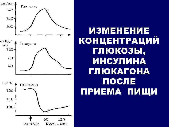 Кортизол и инсулин взаимосвязь схема