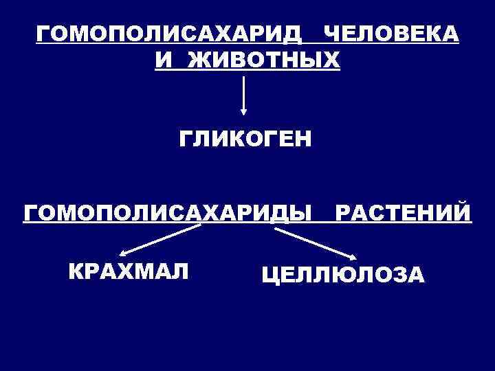 ГОМОПОЛИСАХАРИД ЧЕЛОВЕКА И ЖИВОТНЫХ ГЛИКОГЕН ГОМОПОЛИСАХАРИДЫ РАСТЕНИЙ КРАХМАЛ ЦЕЛЛЮЛОЗА 