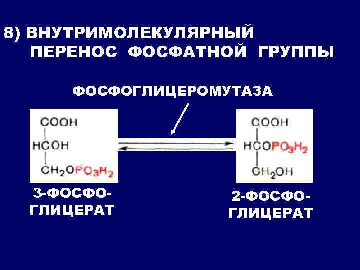8) ВНУТРИМОЛЕКУЛЯРНЫЙ ПЕРЕНОС ФОСФАТНОЙ ГРУППЫ ФОСФОГЛИЦЕРОМУТАЗА 3 -ФОСФОГЛИЦЕРАТ 2 -ФОСФОГЛИЦЕРАТ 