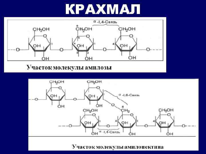 Схема образования амилозы