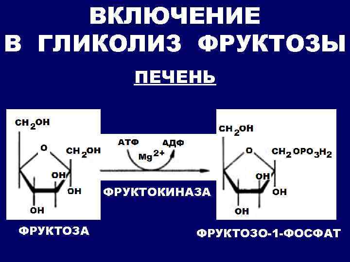 Фруктоза синтез. Д фруктозо 1 фосфат. Фруктоза в фруктозо 1 фосфат. Фруктоза в фруктозо 6 фосфат. Фруктоза в фруктозо 1 фосфат реакция.