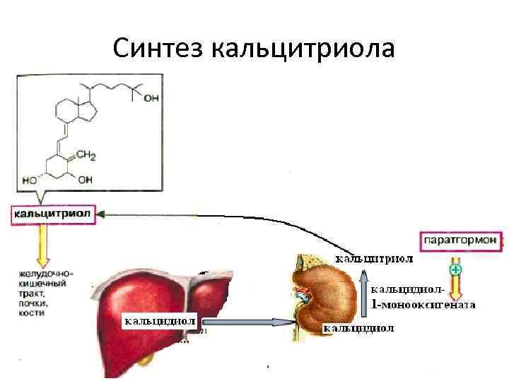 Синтез кальцитриола 