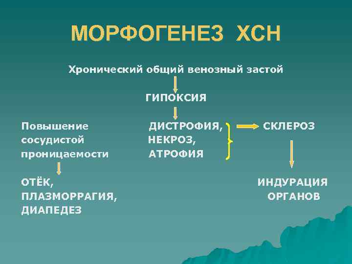МОРФОГЕНЕЗ ХСН Хронический общий венозный застой ГИПОКСИЯ Повышение сосудистой проницаемости ОТЁК, ПЛАЗМОРРАГИЯ, ДИАПЕДЕЗ ДИСТРОФИЯ,