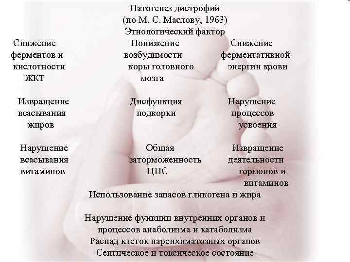 Патогенез дистрофий (по М. С. Маслову, 1963) Этиологический фактор Снижение Понижение Снижение ферментов и