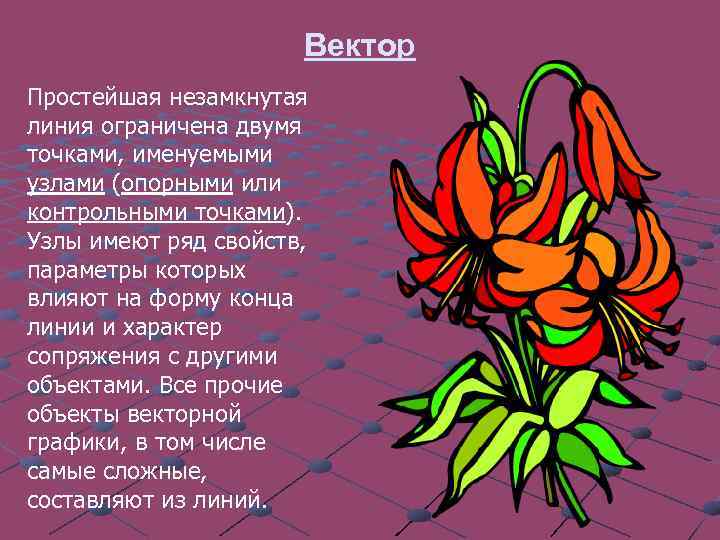 Вектор Простейшая незамкнутая линия ограничена двумя точками, именуемыми узлами (опорными или контрольными точками). Узлы