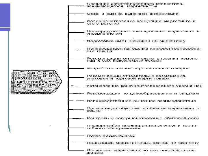Должность: Ассистент менеджера по торговой марке Место в иерархии: Специалист l Должностные обязанности: l