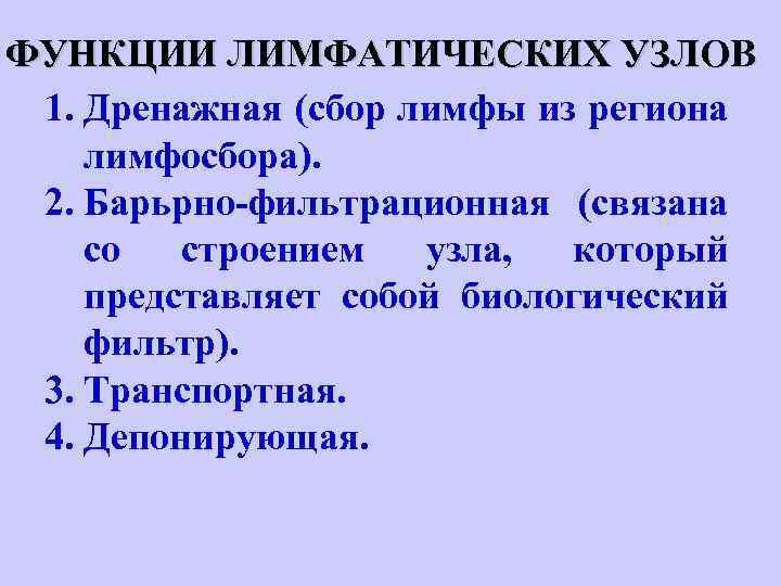 ФУНКЦИИ ЛИМФАТИЧЕСКИХ УЗЛОВ 1. Дренажная (сбор лимфы из региона лимфосбора). 2. Барьрно-фильтрационная (связана со