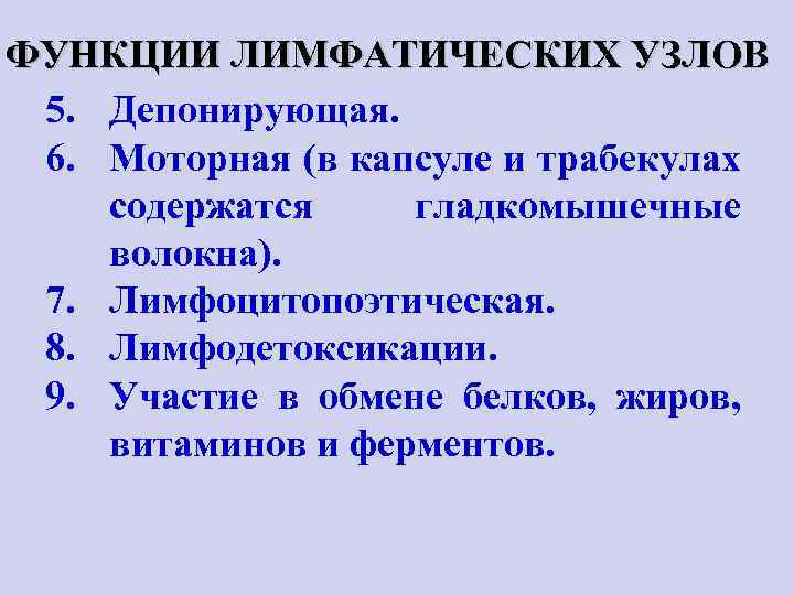 ФУНКЦИИ ЛИМФАТИЧЕСКИХ УЗЛОВ 5. Депонирующая. 6. Моторная (в капсуле и трабекулах содержатся гладкомышечные волокна).