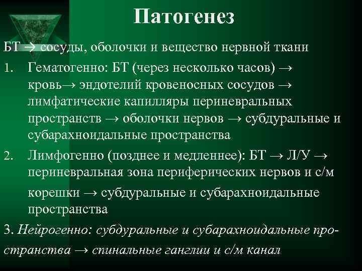 Патогенез БТ → сосуды, оболочки и вещество нервной ткани 1. Гематогенно: БТ (через несколько