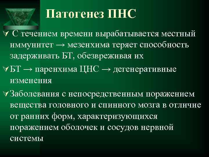 Патогенез ПНС Ú С течением времени вырабатывается местный иммунитет → мезенхима теряет способность задерживать