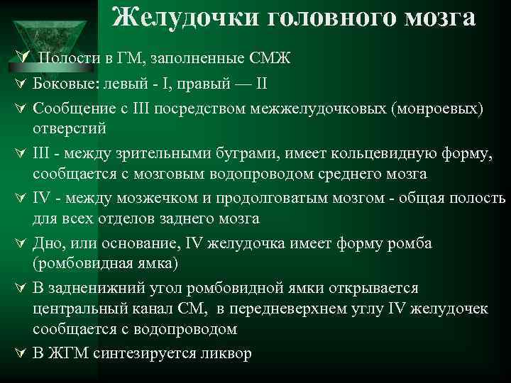 Желудочки головного мозга Ú Полости в ГМ, заполненные СМЖ Ú Боковые: левый - I,