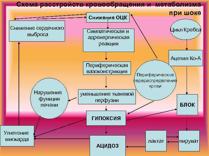 Блок схема расстройства кровообращения