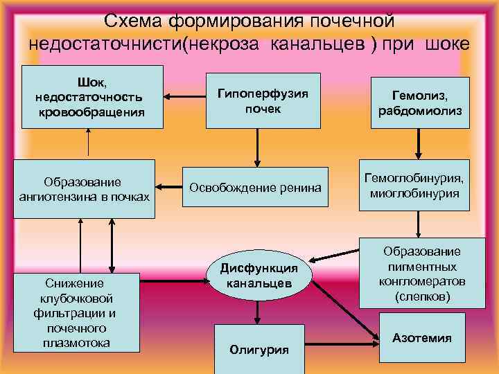 Схема формирования почечной недостаточнисти(некроза канальцев ) при шоке Шок, недостаточность кровообращения Образование ангиотензина в