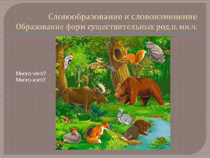 Словообразование и словоизменение Образование форм существительных род. п. мн. ч. Много чего? Много кого?