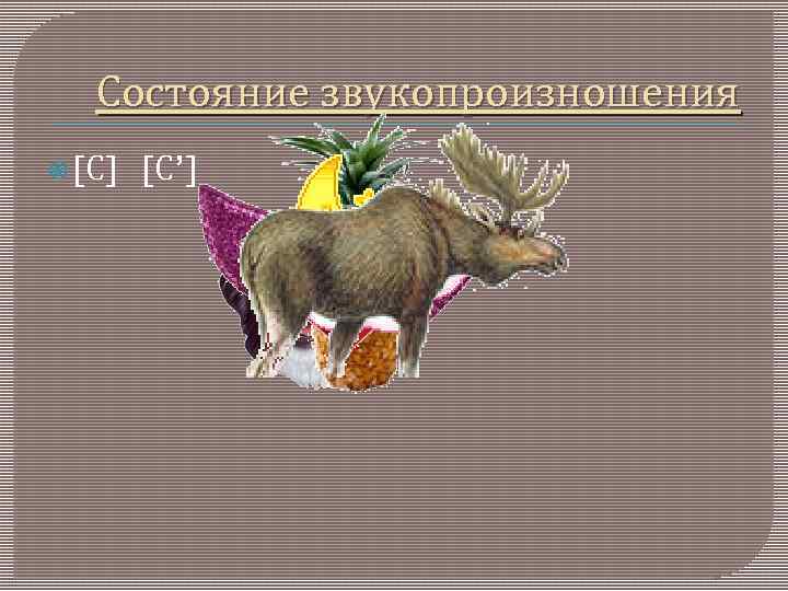 Состояние звукопроизношения [С] [С’] 