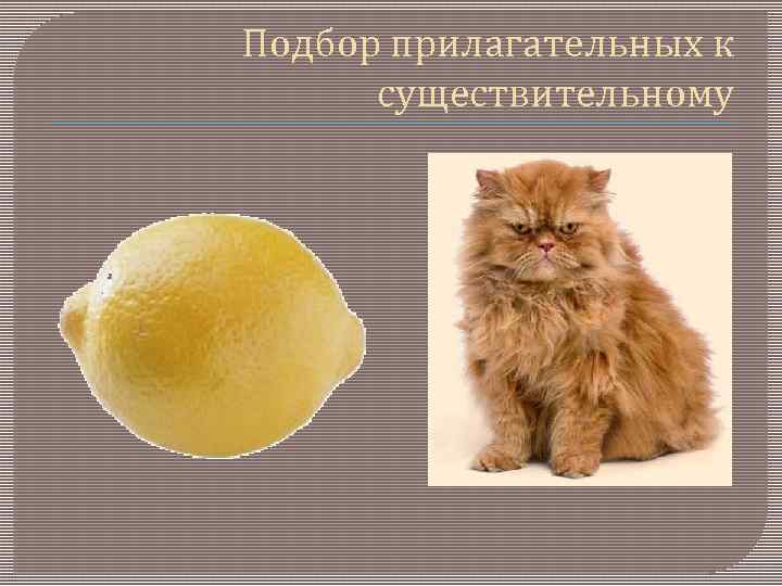 Подбор прилагательных к существительному 