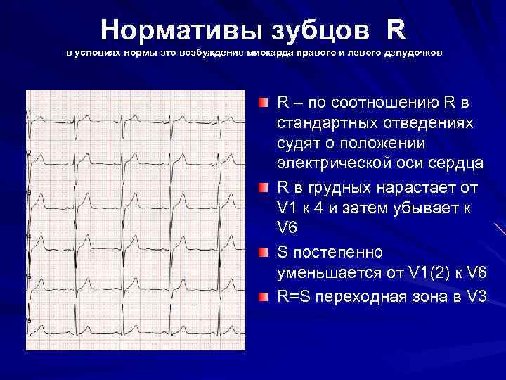 Нормативы сегмента S-T о его положении судят по точке j переходу зубца S в