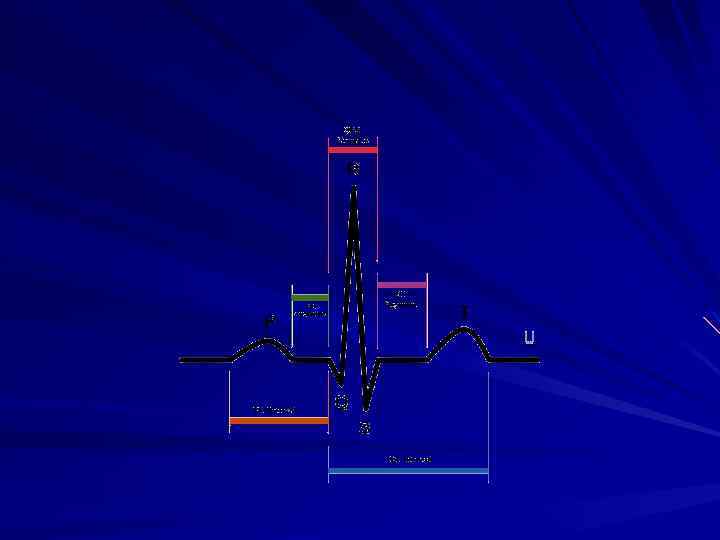Проводящая система сердца Синусовый узел (60 -80 импульсов в минуту) Атриовентрикулярные пути - пучки