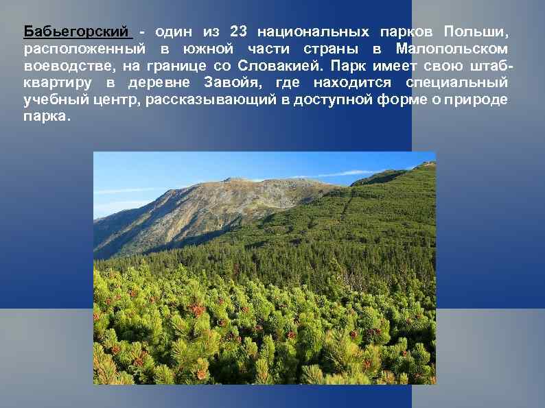 Бабьегорский - один из 23 национальных парков Польши, расположенный в южной части страны в